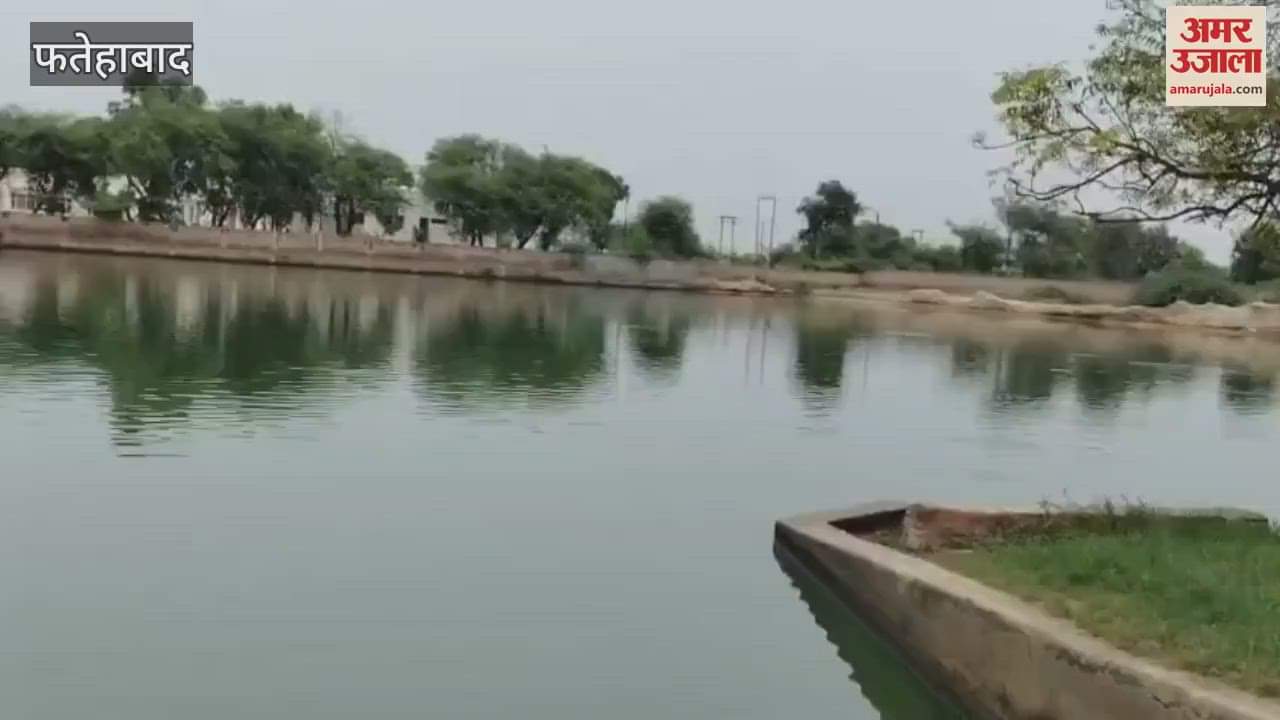 In Fatehabad, the brother of two sisters who went to the pond to take out the buffalo calf died by drowning in the pond