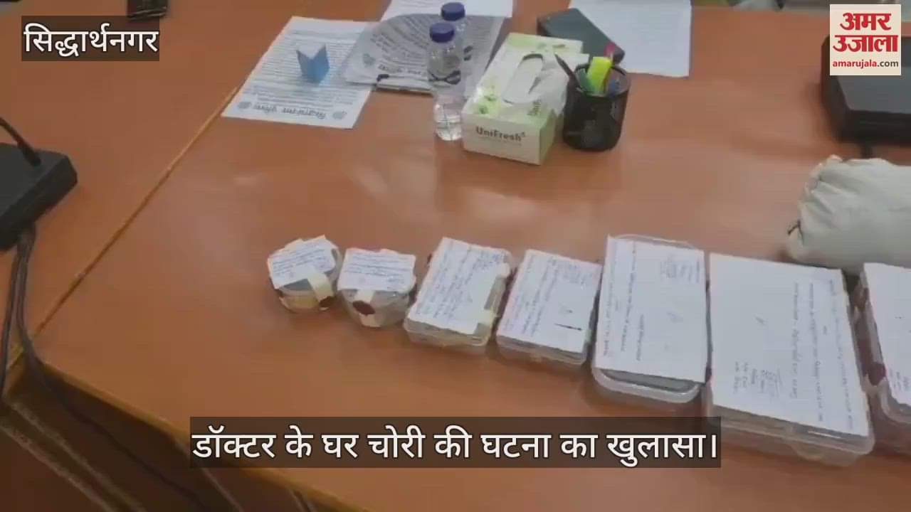 Theft at doctor's house exposed, cash recovered