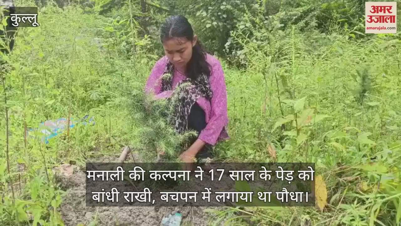 Kalpana thakur of Manali tied Rakhi to a 17 year old deodar tree