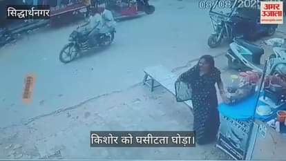 Rope stuck in the leg, horse dragged the girl for 300 meters- injured