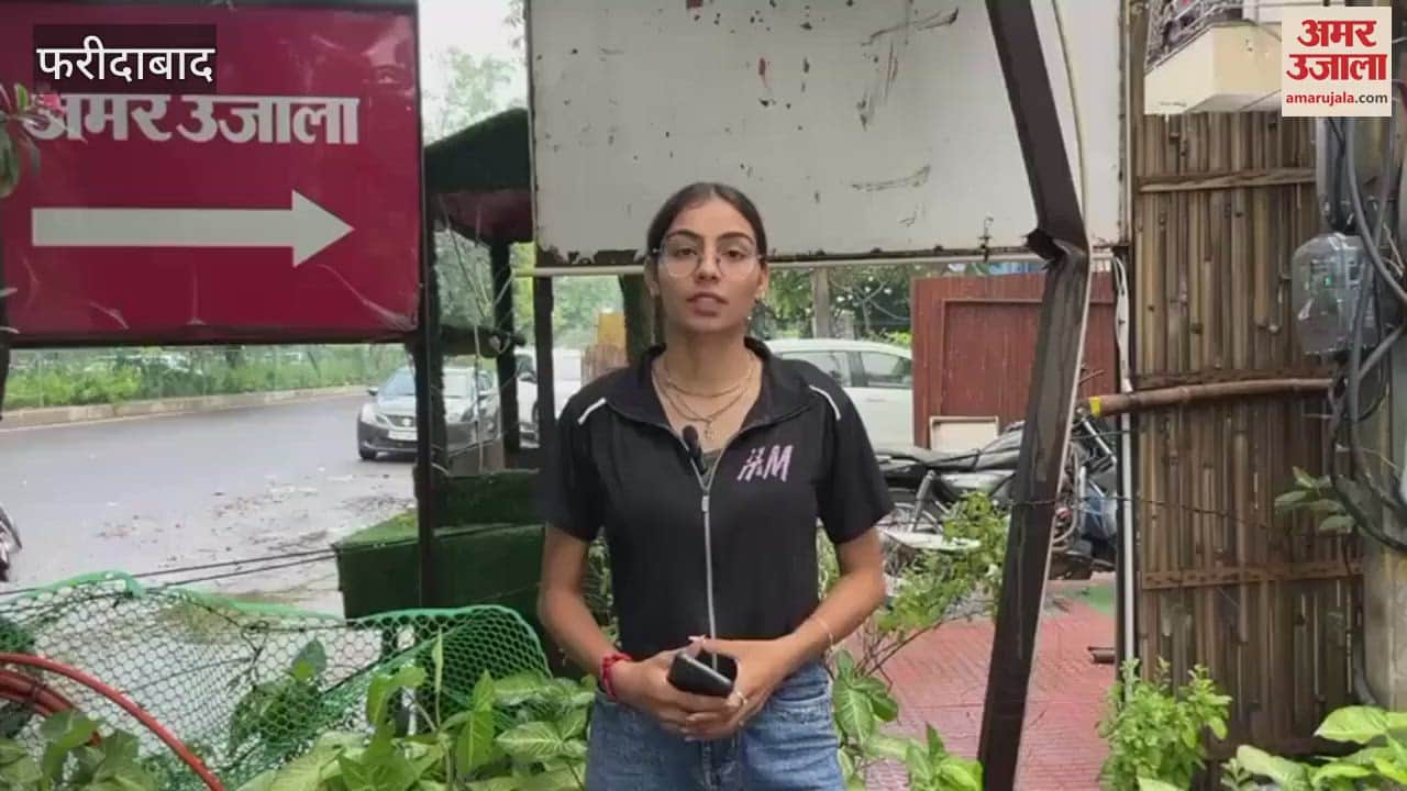 Terror of stray dogs and monkeys in Faridabad