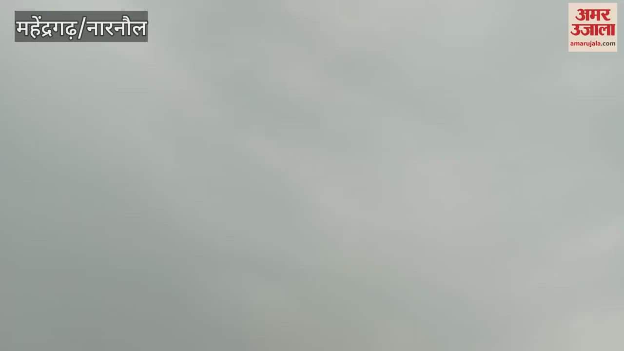 Light drizzle in Narnaul since morning makes the weather pleasant