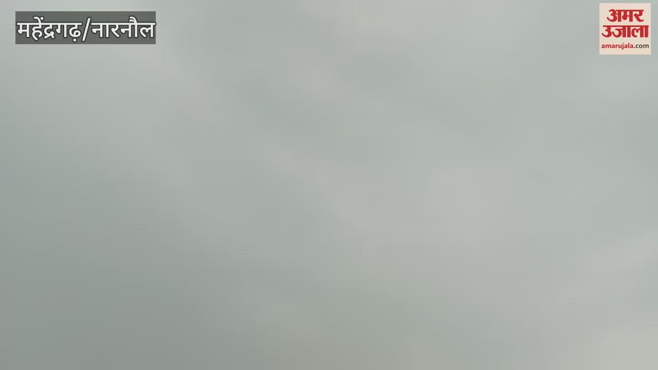 Light drizzle in Narnaul since morning makes the weather pleasant