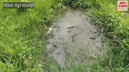 Diarrhea outbreak in village Baiga tribals called the adopted sons of the President