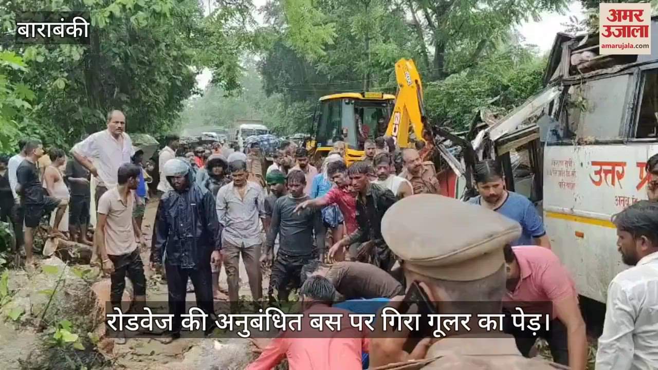 VIDEO: बाराबंकी में बस पर पेड़ गिरने से पांच की मौत व चालक सहित कई गंभीर घायल