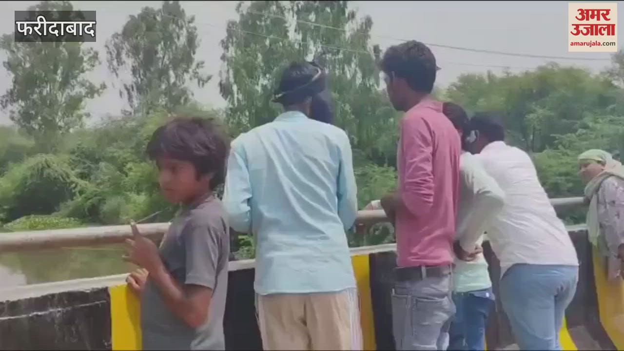 man jumped into Agra canal and Suicide in Faridabad