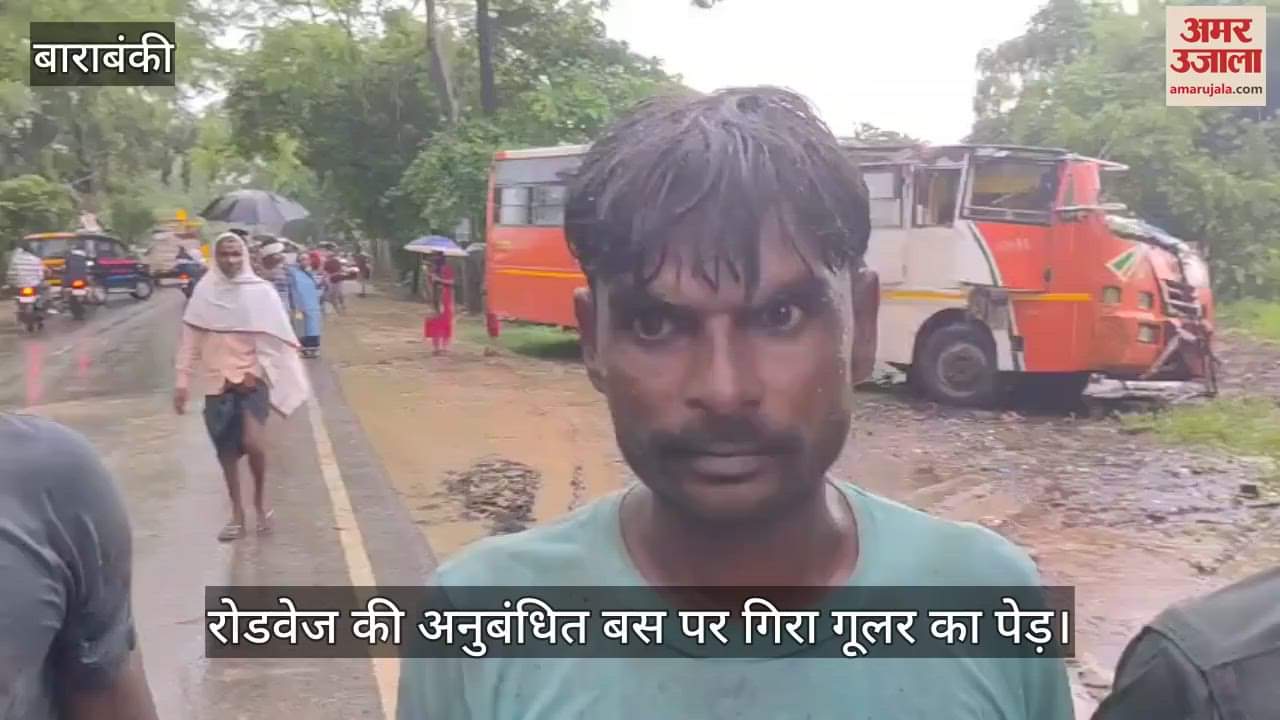VIDEO: बस पर पेड़ गिरने से पांच की मौत, पेड़ काटकर यात्रियों को निकाला, ग्रामीणों पर बताया- क्या हुआ था