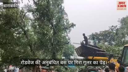 VIDEO: बस पर पेड़ गिरने से पांच लोगों की मौत, पेड़ काटकर यात्रियों को निकाला, जानें- कैसे हुआ हादसा