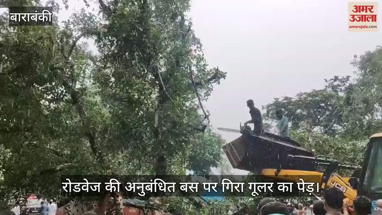 VIDEO: बस पर पेड़ गिरने से पांच लोगों की मौत, पेड़ काटकर यात्रियों को निकाला, जानें- कैसे हुआ हादसा