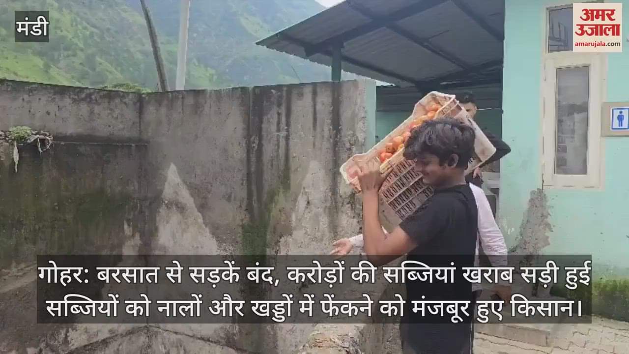 Gohar: Roads closed due to rain, vegetables worth crores spoiled