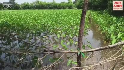 Water level of Ganga crossed flood mark in Hapur