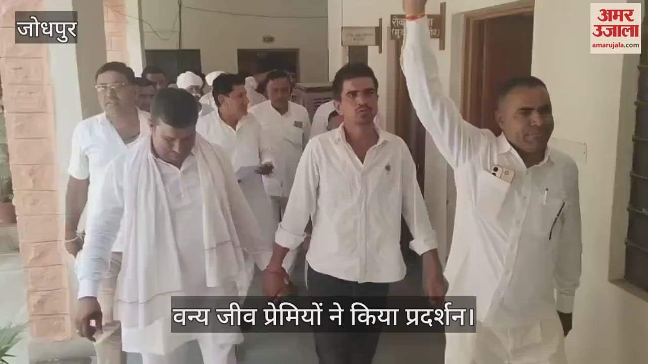 Jodhpur News: Wildlife lovers protested against cutting of Khejri trees