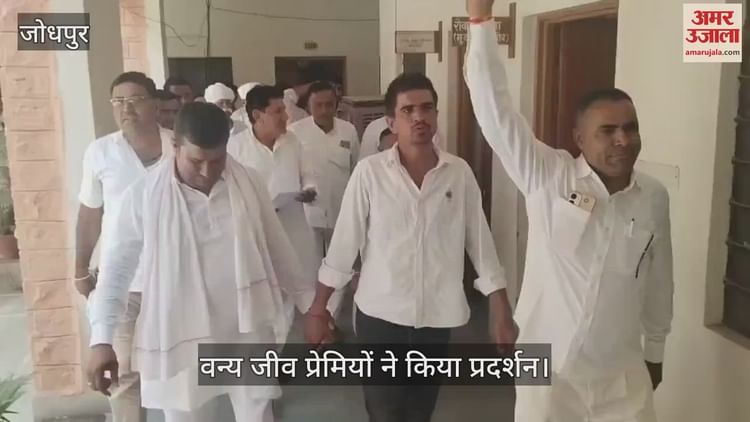 Jodhpur News: बाला हिरण शिकार प्रकरण और खेजड़ी कटाई से आक्रोश, वन्य जीव प्रेमियों ने किया प्रदर्शन