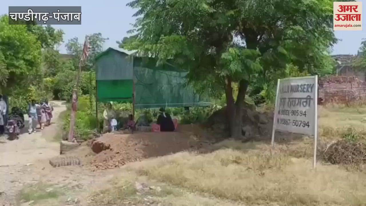 Civil surgeon in Moga examined dengue larvae at various places