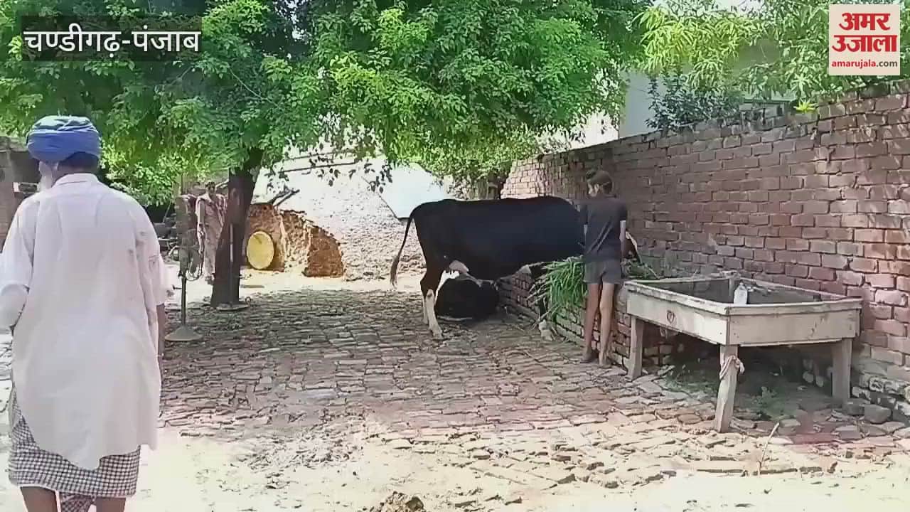 Moga village Danewal is in the grip of cancer and black jaundice