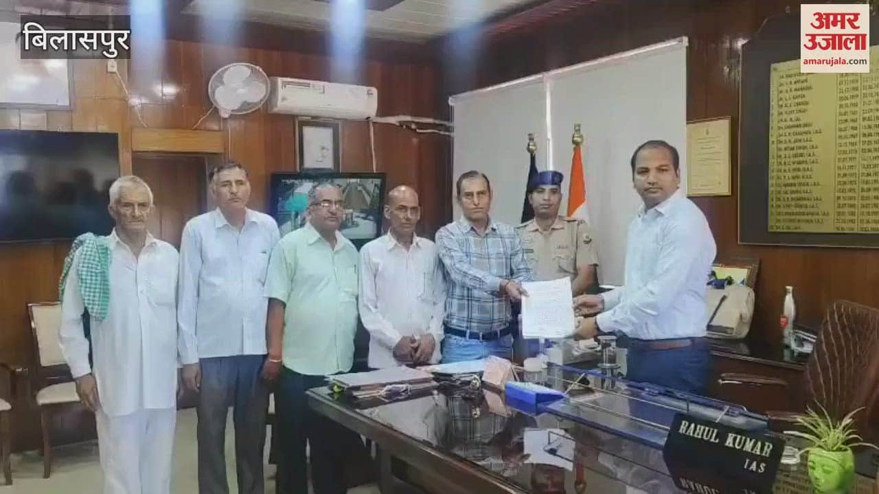 Bilaspur Trees may fall on the building of Chhadol school SMC expressed concern