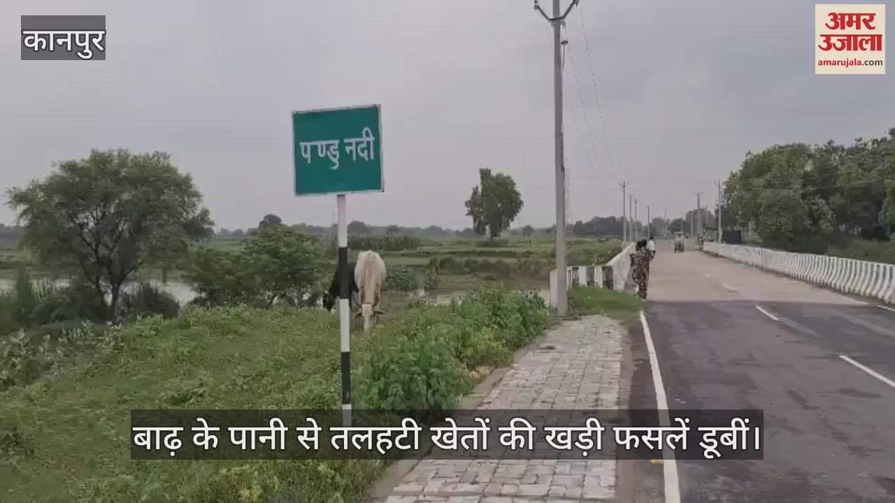 कानपुर के भीतरगांव इलाके में पांडु नदी उफनाई, आसपास के गांवों में खेतों को डुबोया