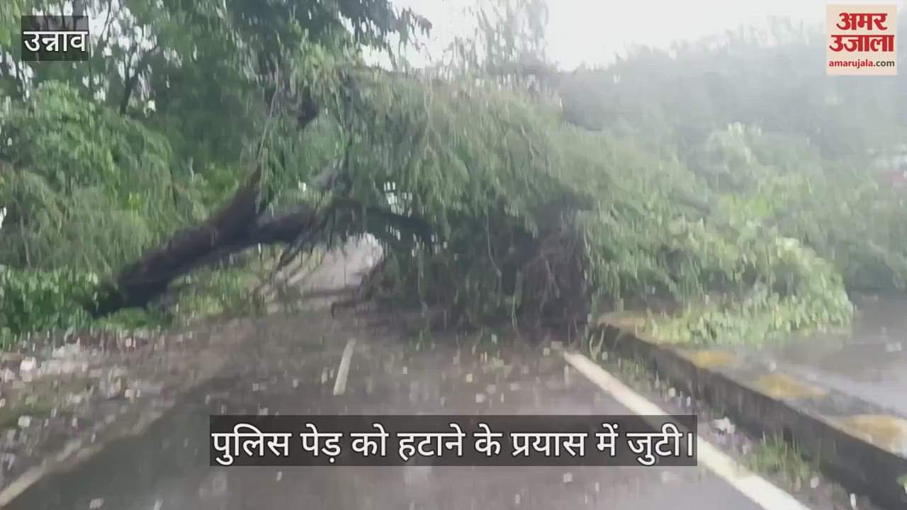 उन्नाव हाईवे पर पेड़ गिरने से लगा जाम, यातायात पूरी तरह से हुआ ठप