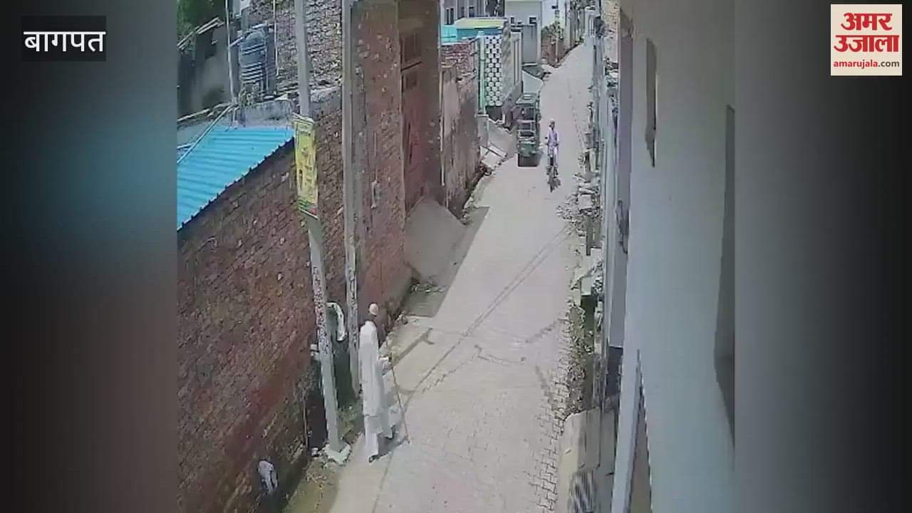 Baghpat: An old man going to offer water in the temple was hit by a bull and thrown 10 feet, injured