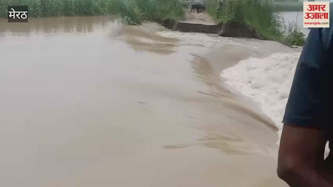 Ganga in spate: Embankments broken at three places in Hastinapur area, water rising in Khadar area, villagers in panic