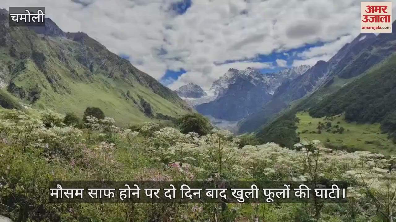 Valley of flowers opened after two days when the weather cleared