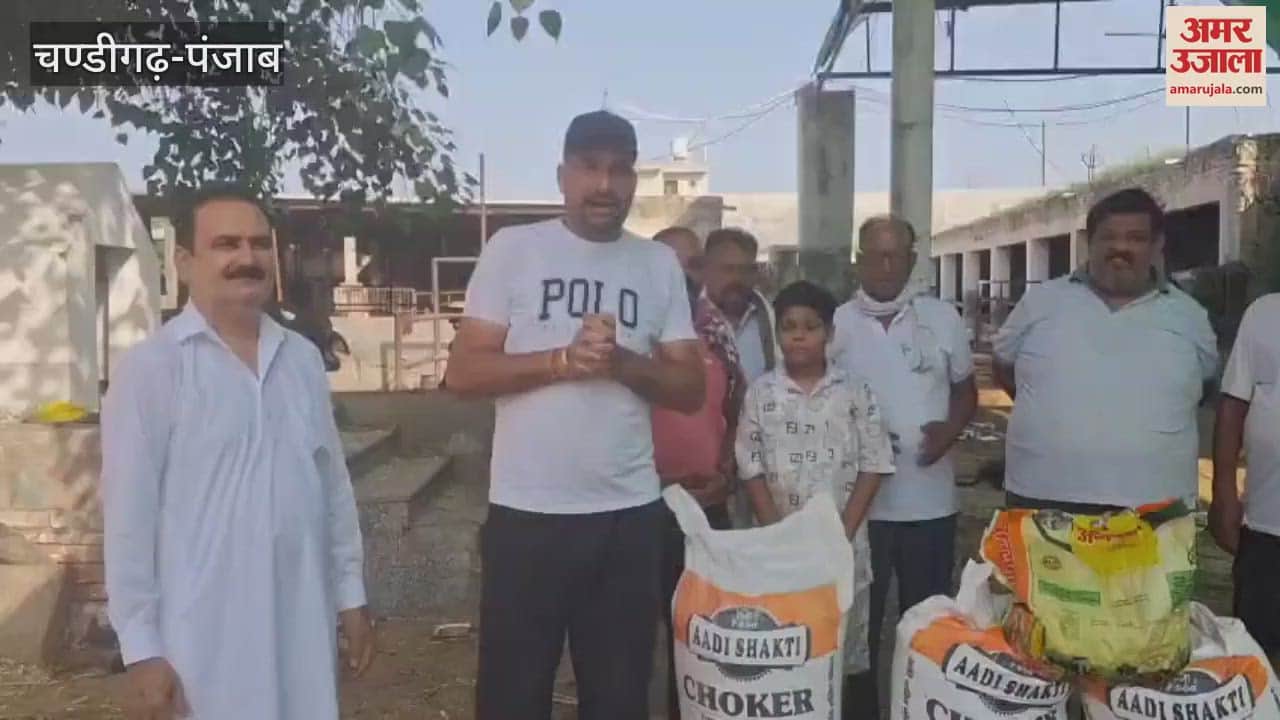 Birthday celebrated by feeding fodder to cows in Gaushala