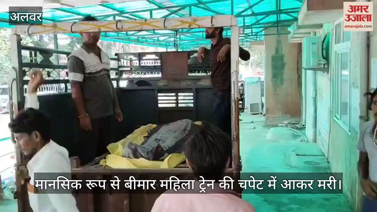 A mentally ill woman died after being hit by a train