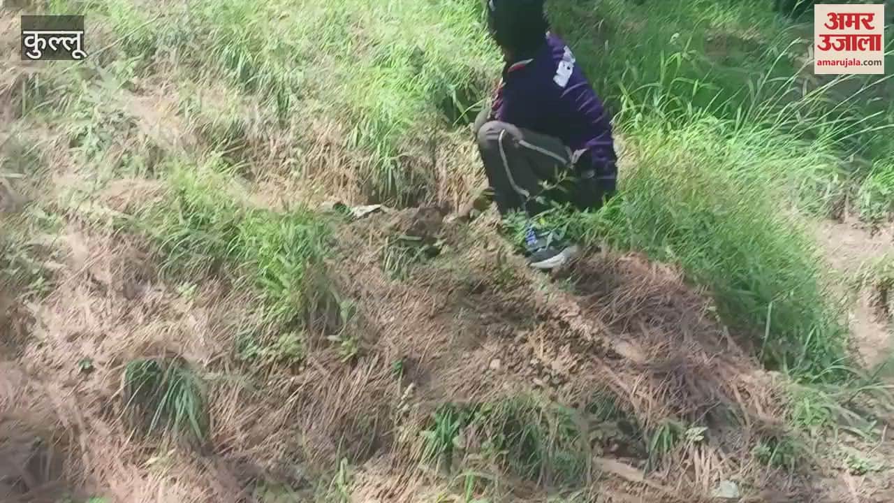 Kullu Social organization Team Sahityog gave the message of greenery by planting trees