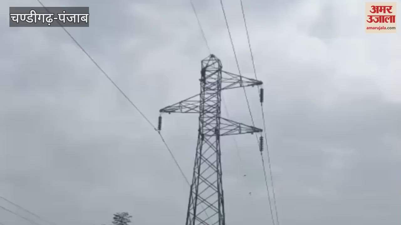 young man climbed a 70 feet high electric pole in Moga