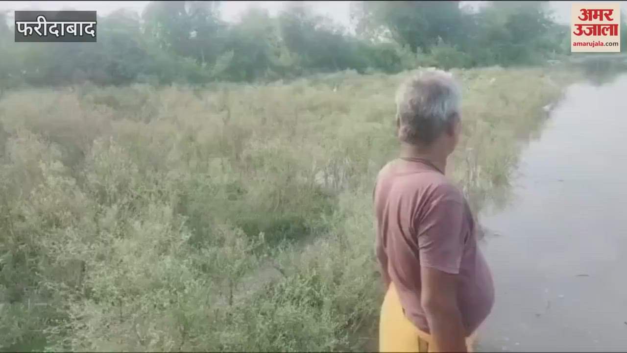 Due to rising water level of Yamuna in Faridabad crops of farmers got damaged