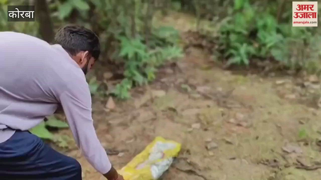 forest department team freed Chingraj and snake charmer who was roaming around with cobra