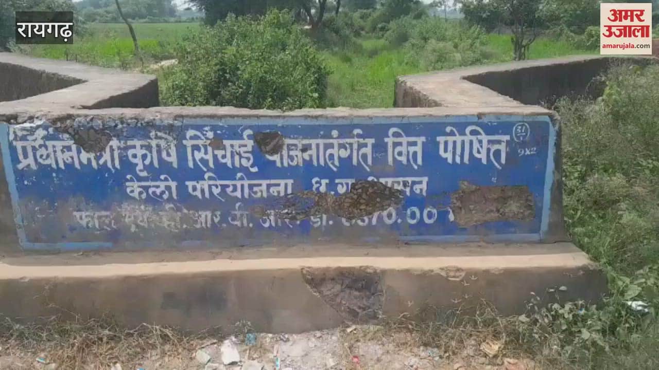 paddy crop of farmers Raigarh district is now on verge of dying due to lack of rain and water