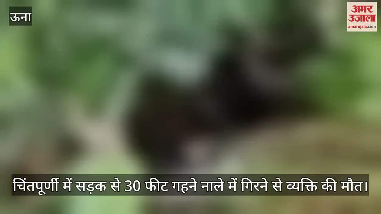 person died after falling into a 30 feet deep drain from the road in Chintapurni