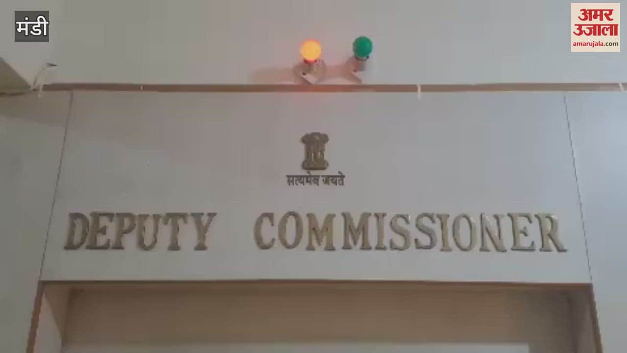 Mandi People of Gram Panchayat Tandu met DC Mandi and requested for action