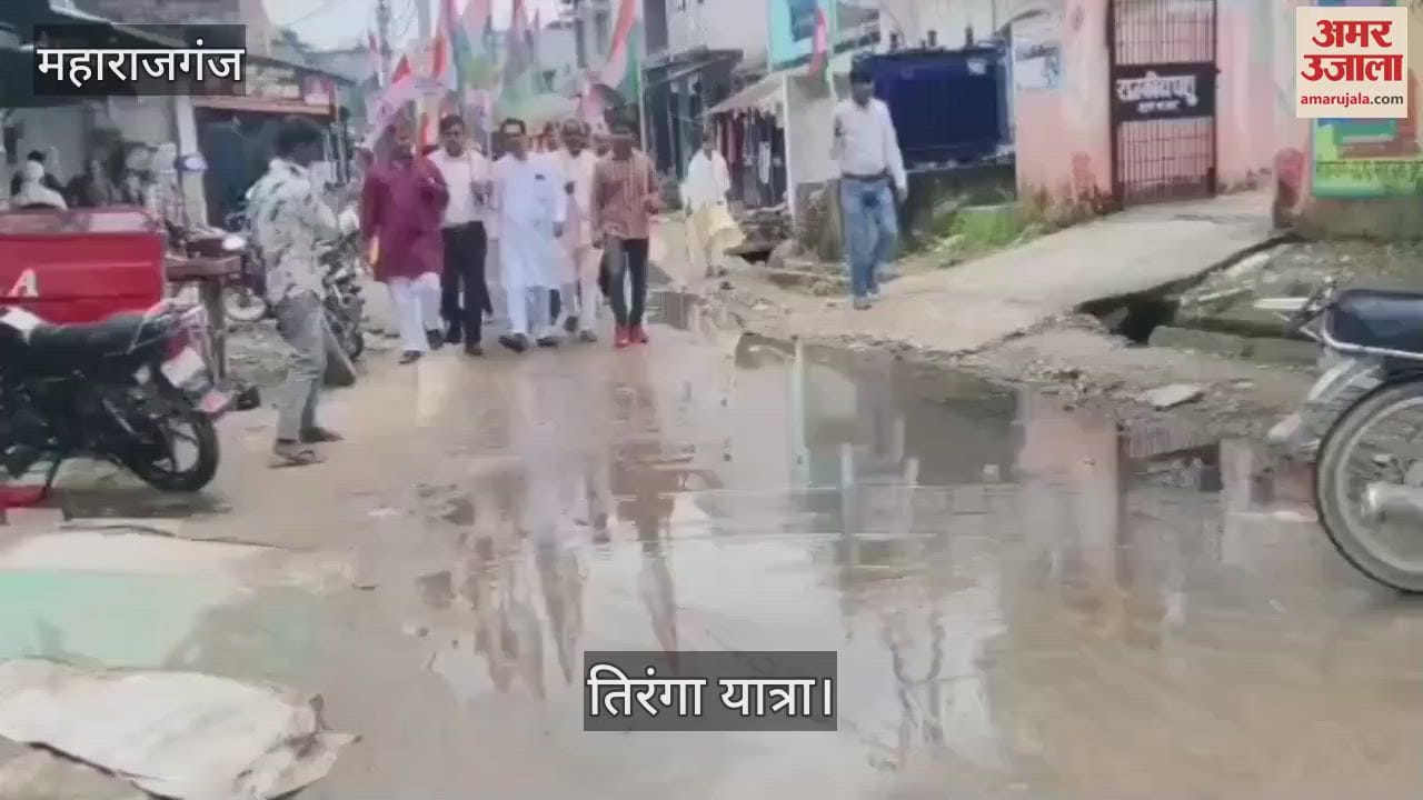 BJP workers took out tricolor march