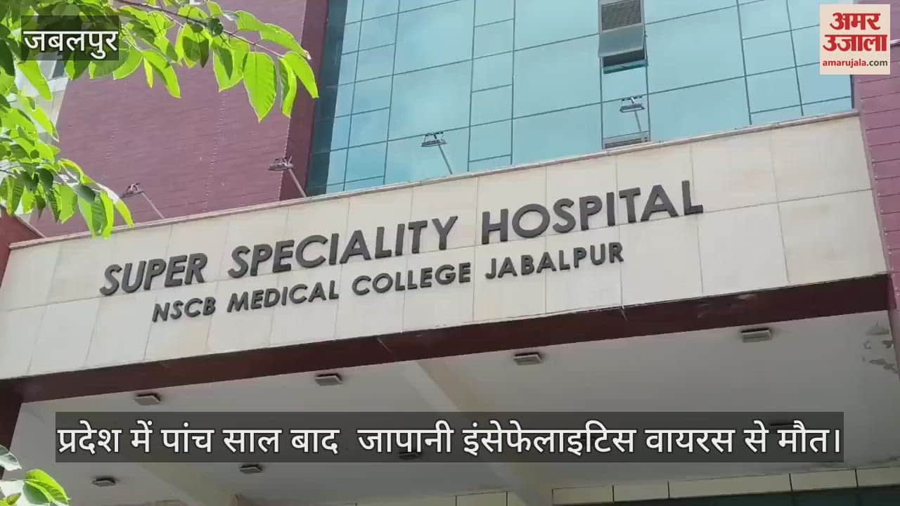 Jabalpur News: Death due to Japanese encephalitis after 5 years in state, 6-year-old innocent of Dindori died