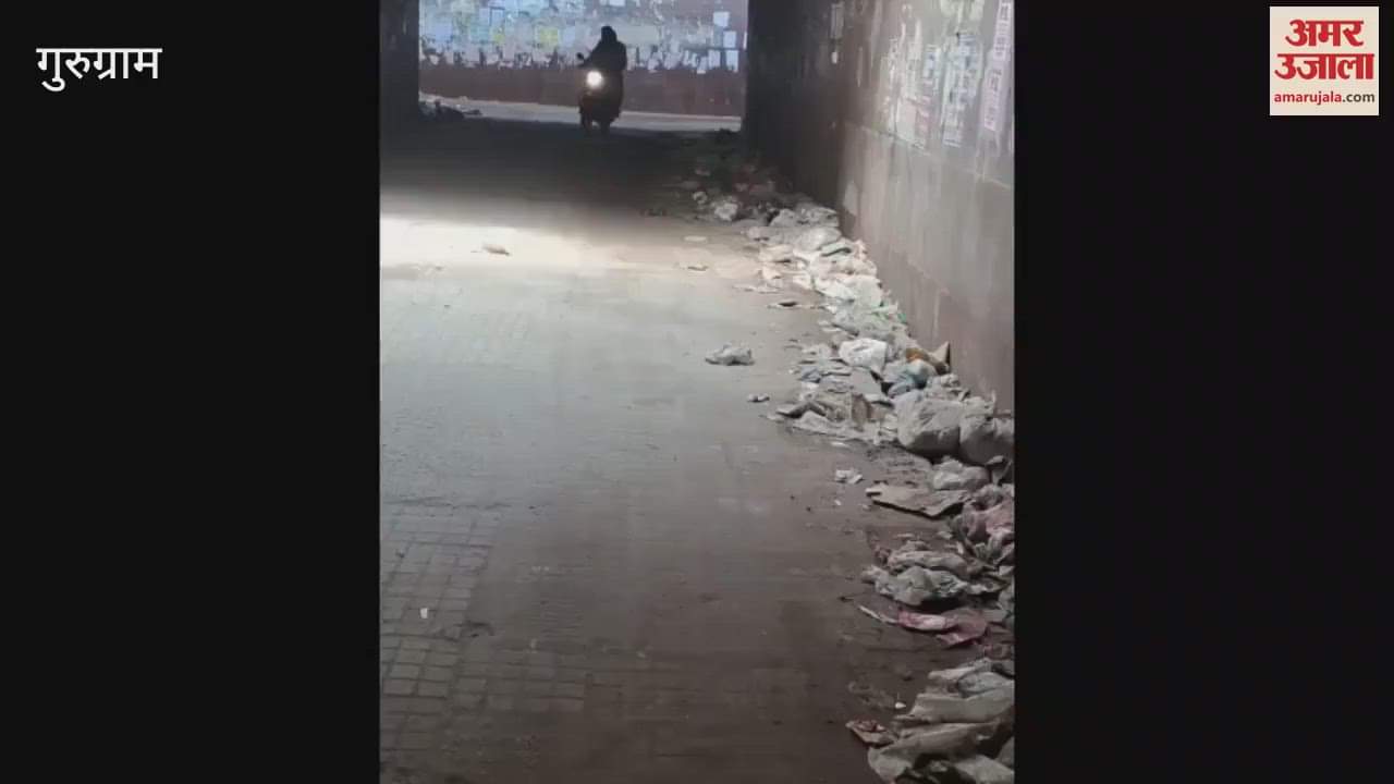 People are troubled by filth in Khadsa Sabji Subway situated on Delhi-Gurugram Expressway