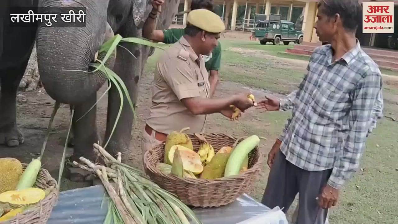 Dudhwa elephants had a feast on World Elephant Day in Lakhimpur Kheri