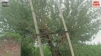 Meerut: Transformer stolen from tube well in Harra forest in Sarurpur