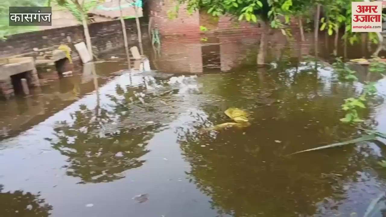 flood in kasganj due to ganga water level rise