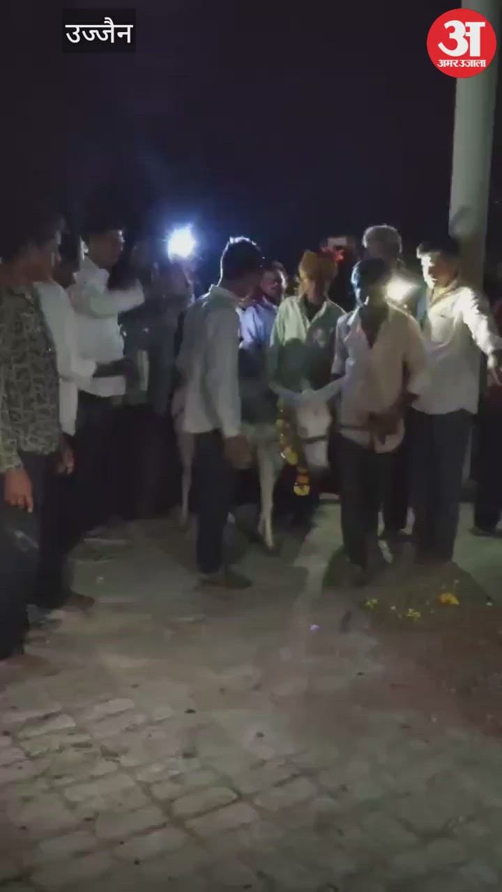 Ujjain News: A unique trick was done with a donkey to bring rain in Ujjain
