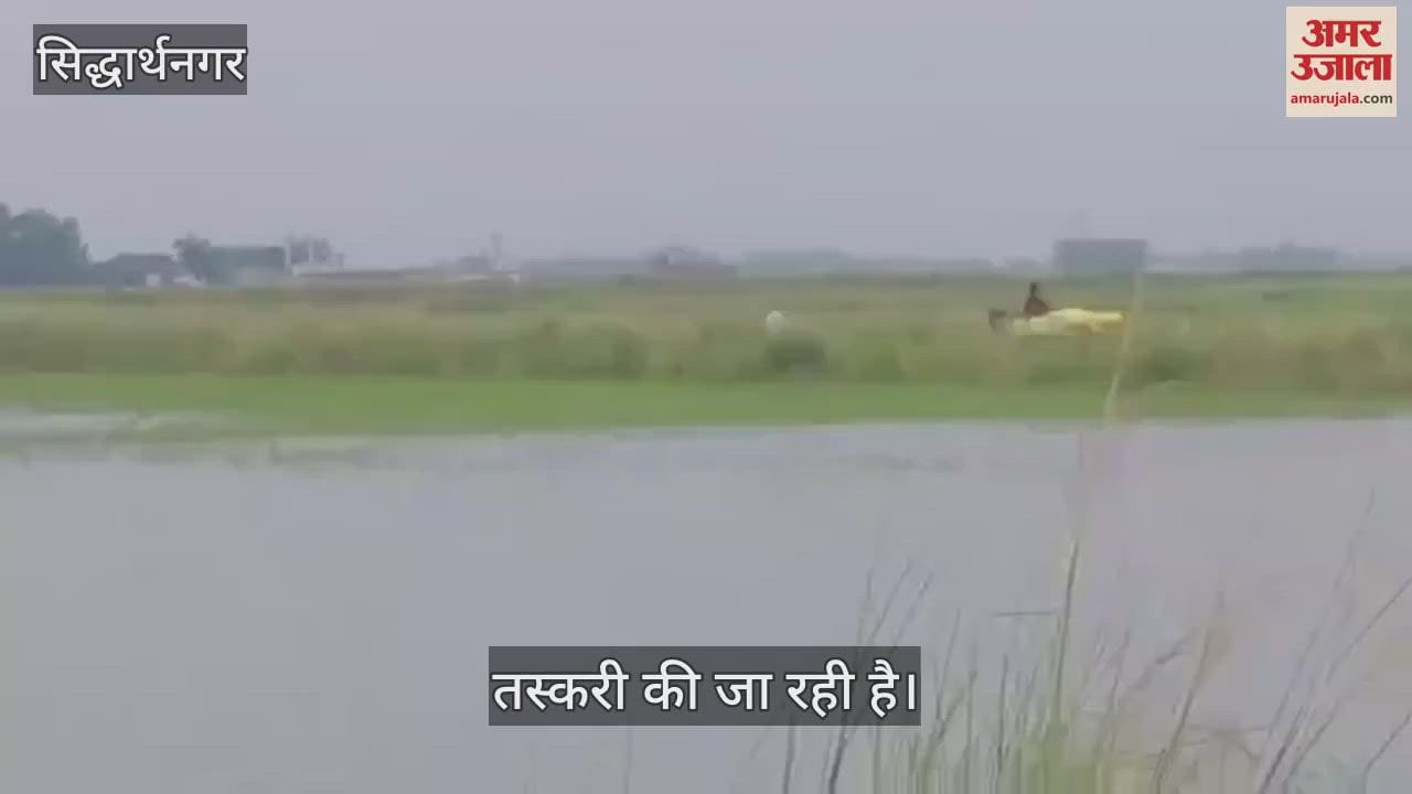 Urea smuggling is happening amidst shortage