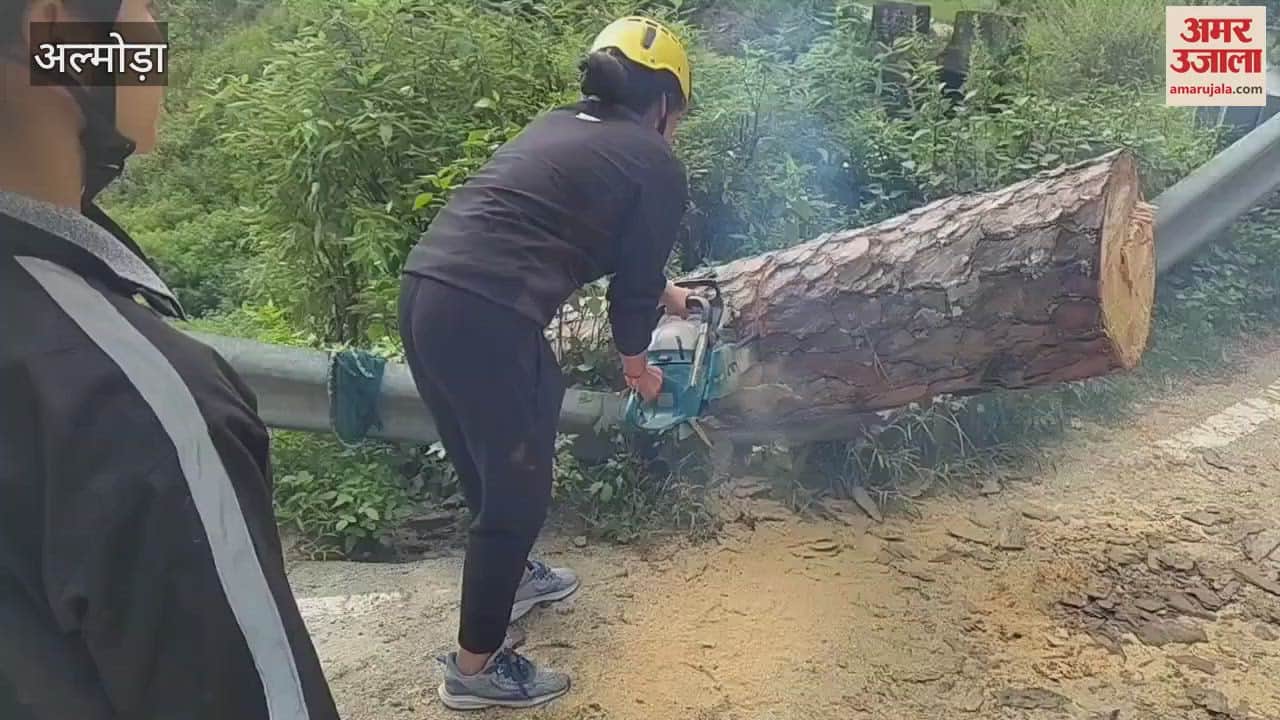 Traffic was disrupted for one and a half hours due to a tree falling on the Dhungadhara road