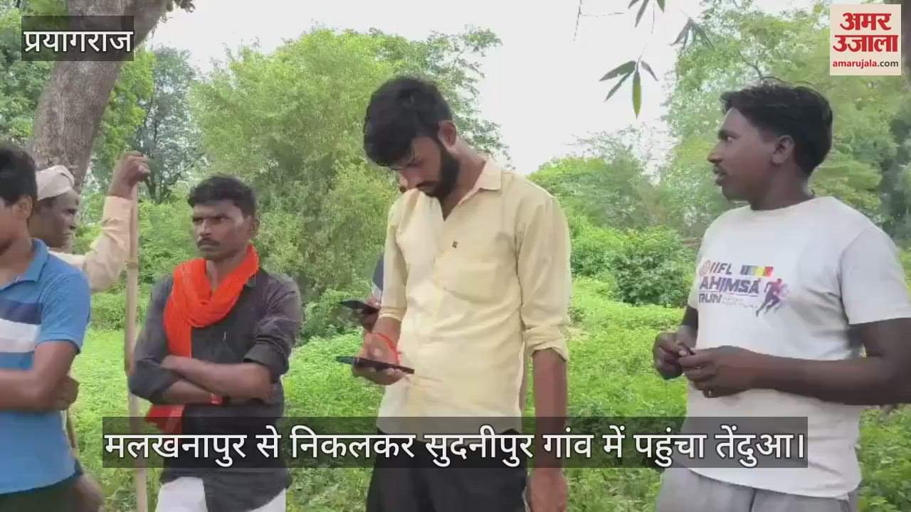 Leopard left Malkhanapur and reached Sudanipur village, forest department team set up camp