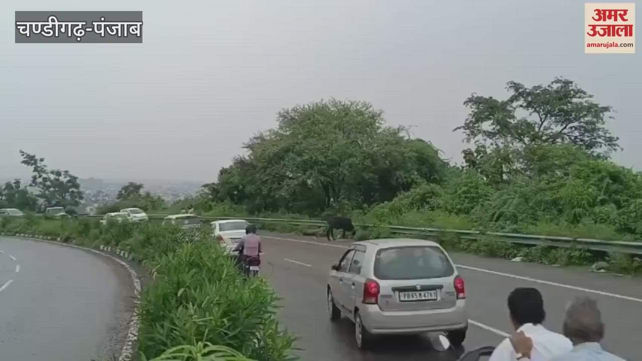 College bus hit by land slide in Pathankot