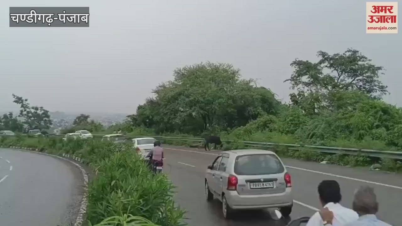 College bus hit by land slide in Pathankot