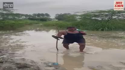 Gautam Buddha Nagar s Falaida village is filled with water due to rising water level of Yamuna