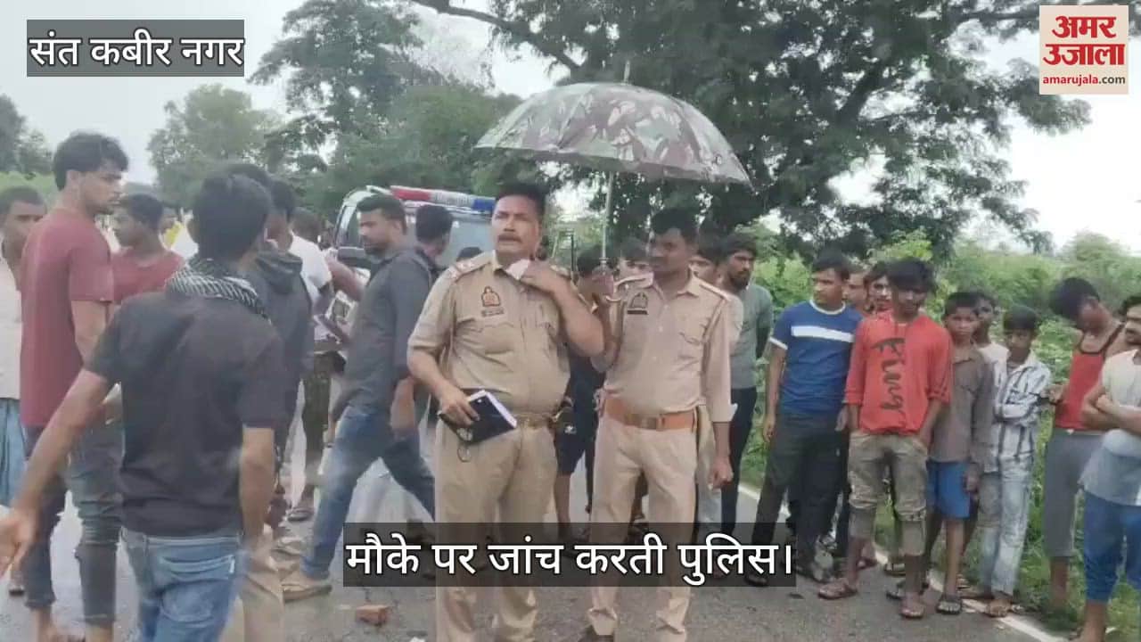 A tree fell on a bike rider on BMCT road, causing his death