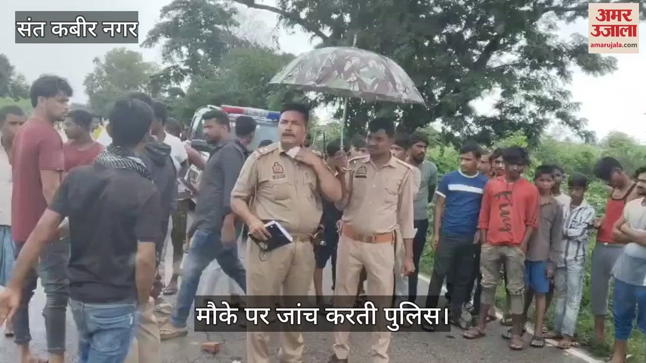 A tree fell on a bike rider on BMCT road, causing his death