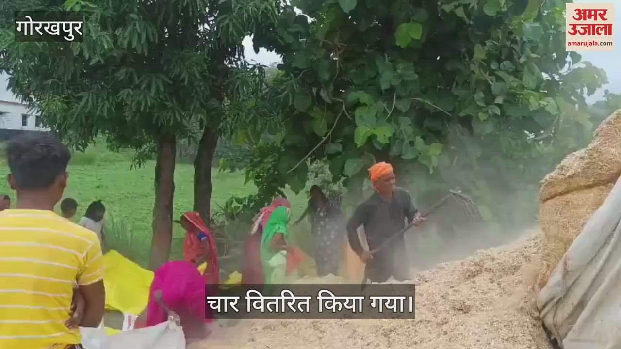 Fodder was distributed to livestock farmers on the instructions of DM